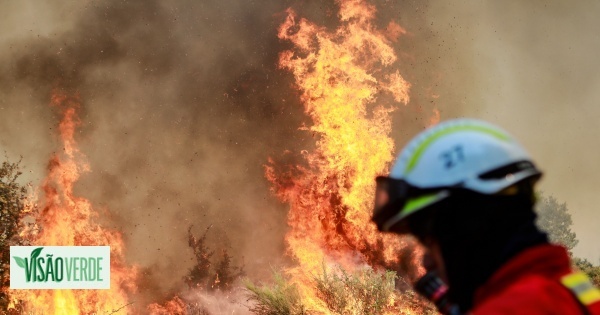 Plus de 1 000 agents combattaient les incendies à Ourém et Mafra à 22h30